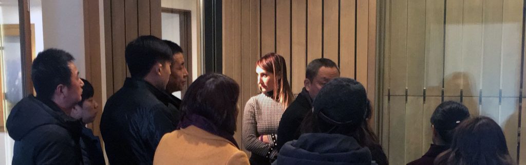 Visit Cina, cover image